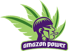 Amazon Power Acai Wholesale