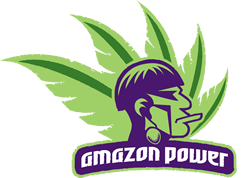 Amazon Power Acai Wholesale