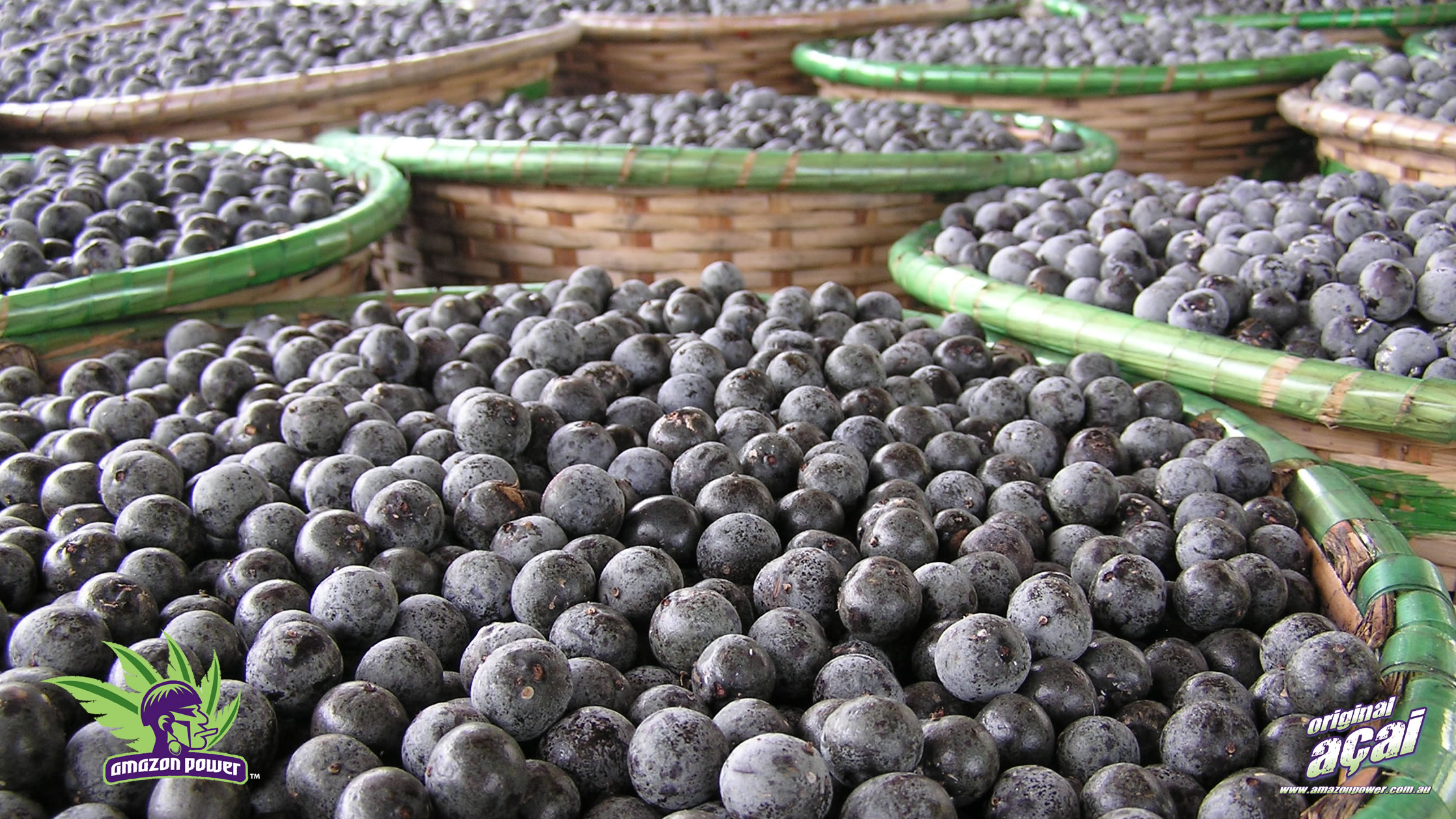 What is Acai? - Amazon Power