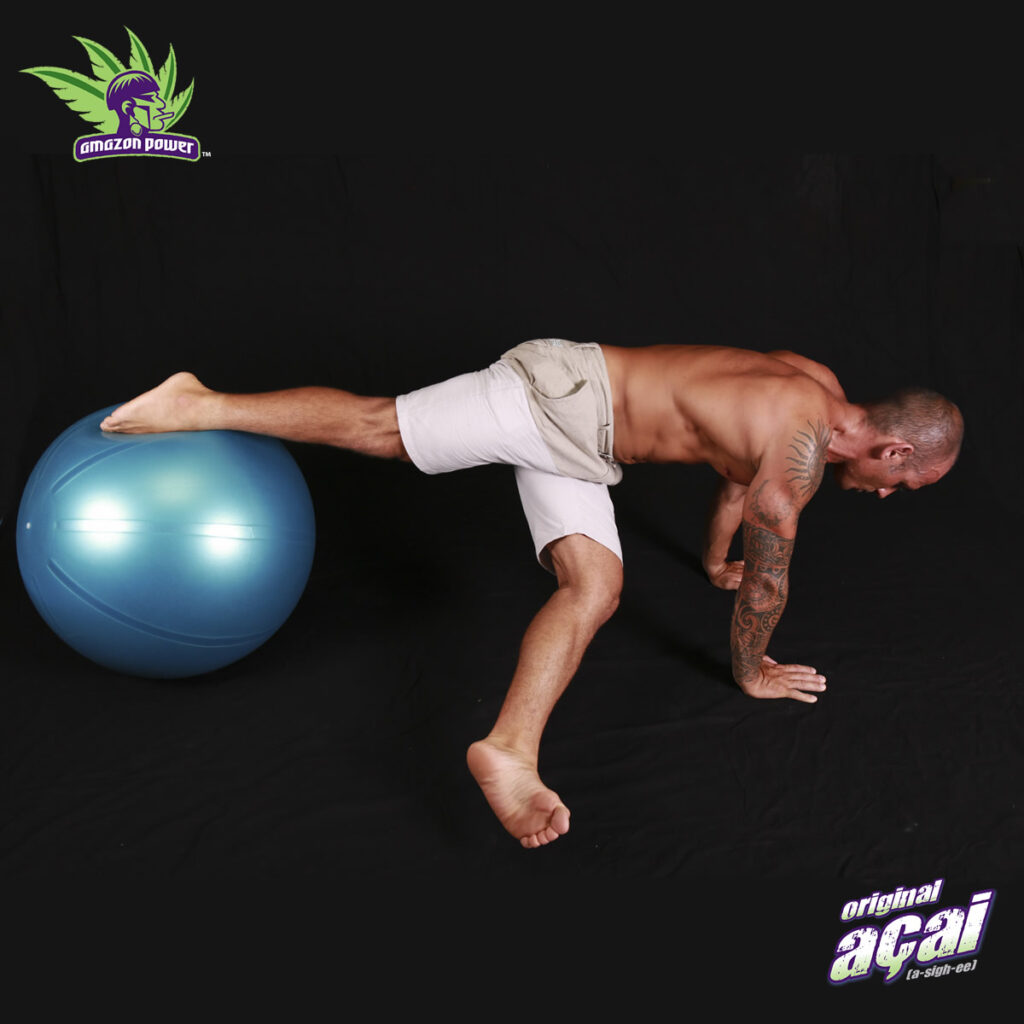 Jackknife Swiss Ball Exercise