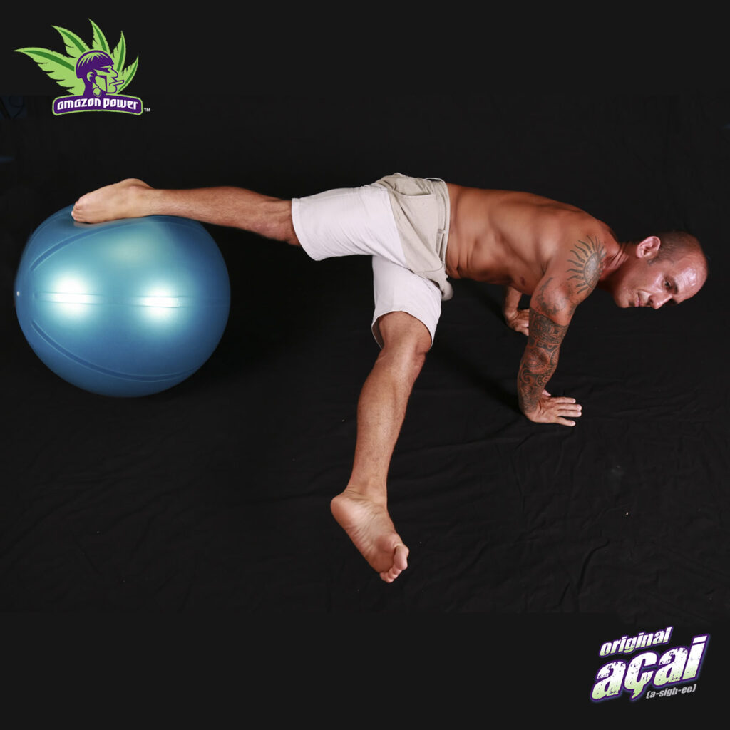 Jackknife Swiss Ball Exercise