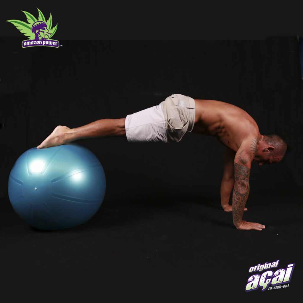 Jackknife Swiss Ball Exercise