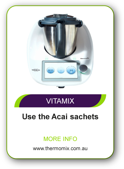 Vitamix Blender