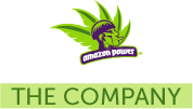 About the company, Amazon Power